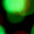 Bokeh-358